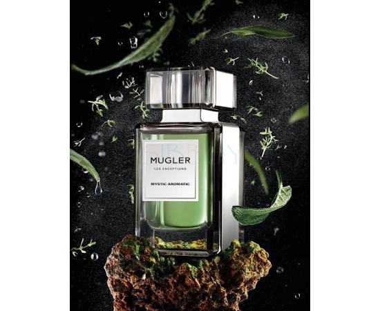 Купить недорого Аромат Mugler Mystic Aromatic Парфюмерная вода