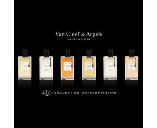 Купить недорого Аромат Van Cleef & Arpels Bois dIris Парфюмерная вода