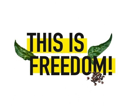 Купить недорого Аромат Zadig & Voltaire This Is Freedom! Туалетная вода