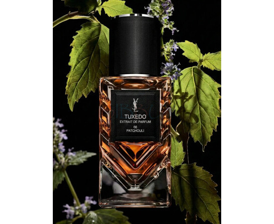 Купить недорого Аромат Yves Saint Laurent Tuxedo 66 Patchouli Духи / Экстракт