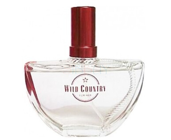 Купить Аромат Avon Wild County Одеколон