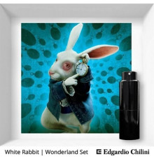 Аромат Edgardio Chilini White Rabbit Духи / Экстракт
