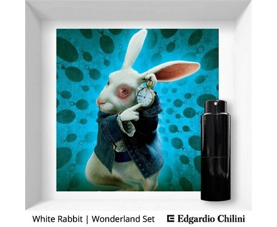 Купить Аромат Edgardio Chilini White Rabbit Духи / Экстракт