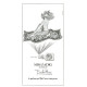 Купить Аромат Emilio Pucci Miss Zadig Масляные духи