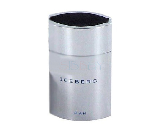 Купить Аромат Iceberg Fluid Man Туалетная вода