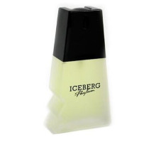 Аромат Iceberg Iceberg Туалетная вода