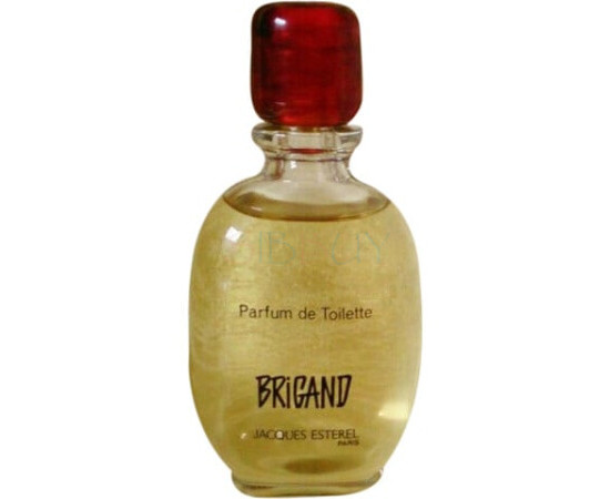 Купить Аромат Jacques Esterel Brigand Дневные духи
