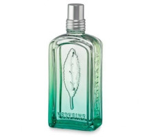 Аромат L`Occitane en Provence Frisson de Verveine Туалетная вода