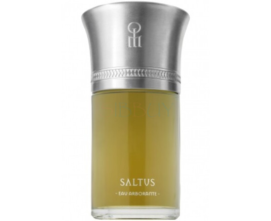 Купить Аромат Les Liquides Imaginaires Saltus Парфюмерная вода