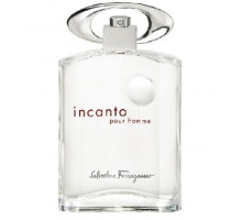 Аромат Salvatore Ferragamo Incanto Pour Homme Туалетная вода