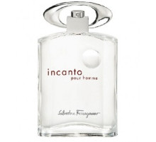 Аромат Salvatore Ferragamo Incanto Pour Homme Туалетная вода