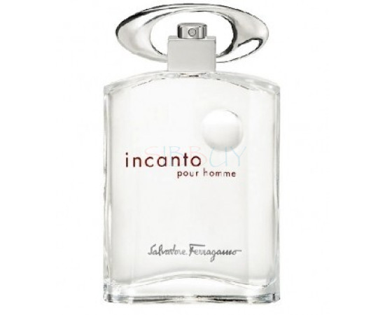 Купить Аромат Salvatore Ferragamo Incanto Pour Homme Туалетная вода