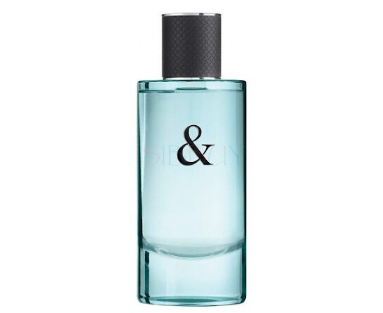 Купить Аромат Tiffany Tiffany & Love For Him Туалетная вода