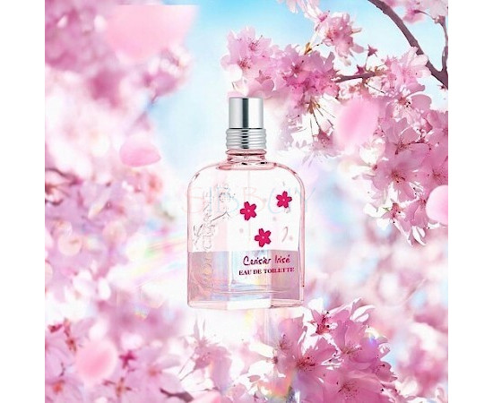 Купить Аромат L`Occitane en Provence Cerisier Irise Туалетная вода