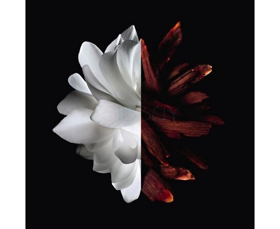Купить недорого Аромат Givenchy LInterdit Eau de Parfum Rouge Парфюмерная вода