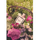 Купить недорого Аромат Gucci Gucci Bloom Парфюмерная вода