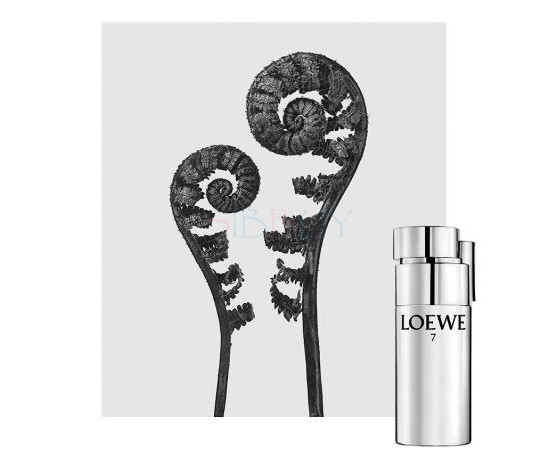 Купить недорого Аромат Loewe 7 Plata Туалетная вода