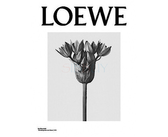 Купить недорого Аромат Loewe Loewe 001 Woman Парфюмерная вода