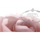 Купить недорого Аромат Prada Infusion de Rose (2017) Парфюмерная вода