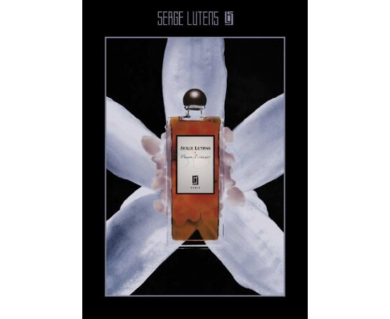 Купить недорого Аромат Serge Lutens Fleurs dOranger Парфюмерная вода