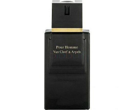 Купить недорого Аромат Van Cleef & Arpels Van Cleef & Arpels Pour Homme Туалетная вода