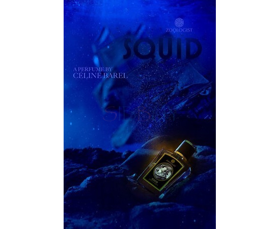 Купить недорого Аромат Zoologist Perfumes Squid Духи / Экстракт