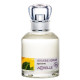 Купить Аромат Acorelle Verveine Agrumes Парфюмерная вода