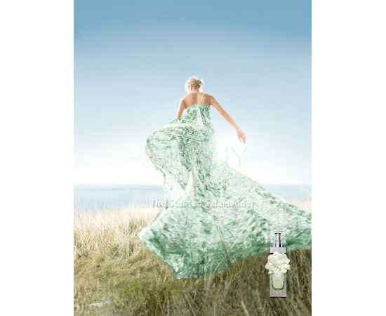 Купить Аромат Banana Republic Wildbloom Vert Парфюмерная вода