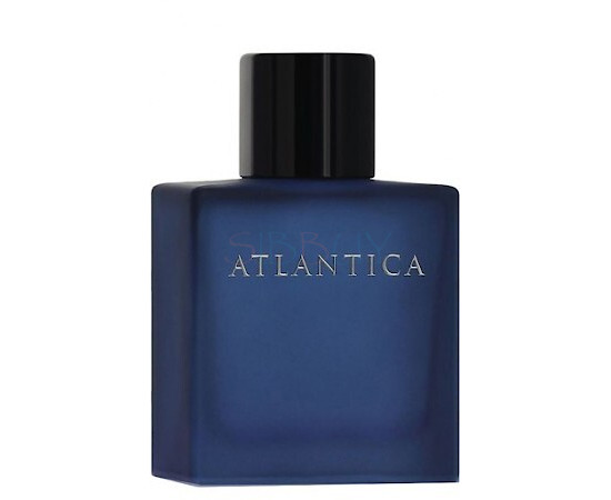 Купить Аромат Dilis Parfum Atlantica Odyssey Туалетная вода