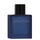 Купить Аромат Dilis Parfum Atlantica Odyssey Туалетная вода