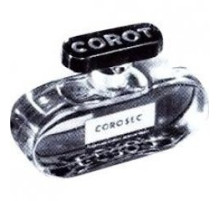 Аромат G.A. Schwarzmaier Coro Sec