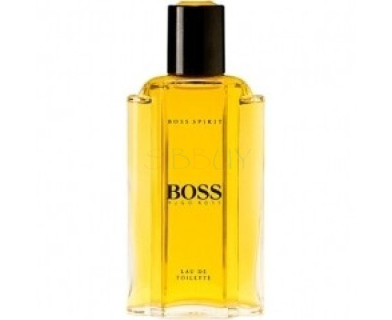 Купить Аромат Hugo Boss Boss Spirit Туалетная вода