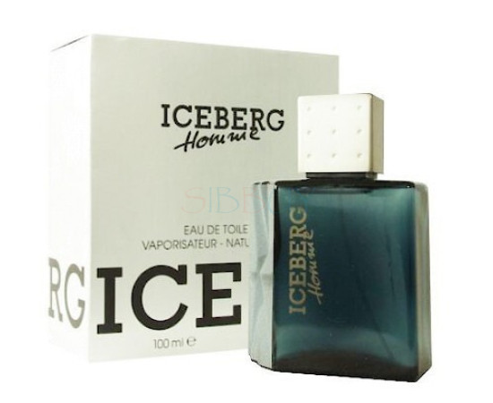 Купить Аромат Iceberg Iceberg Homme Туалетная вода