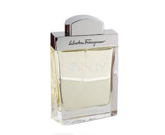 Купить Аромат Salvatore Ferragamo Salvatore Ferragamo Pour Homme Туалетная вода