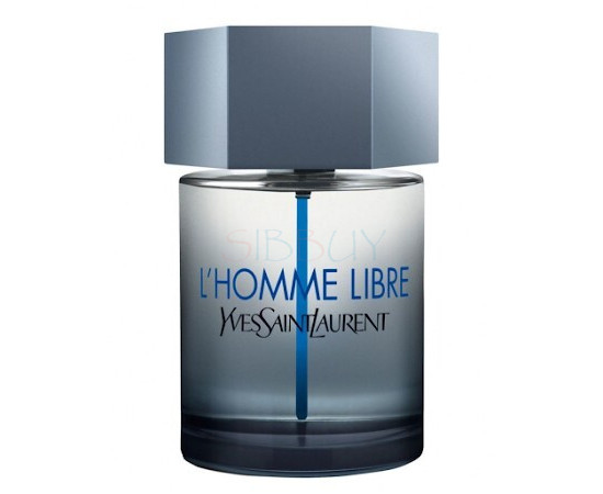 Купить Аромат Yves Saint Laurent L'Homme Libre Туалетная вода